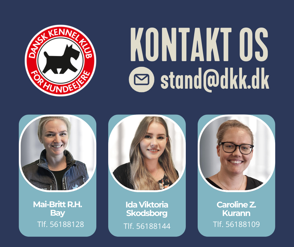 Kontakt standleje